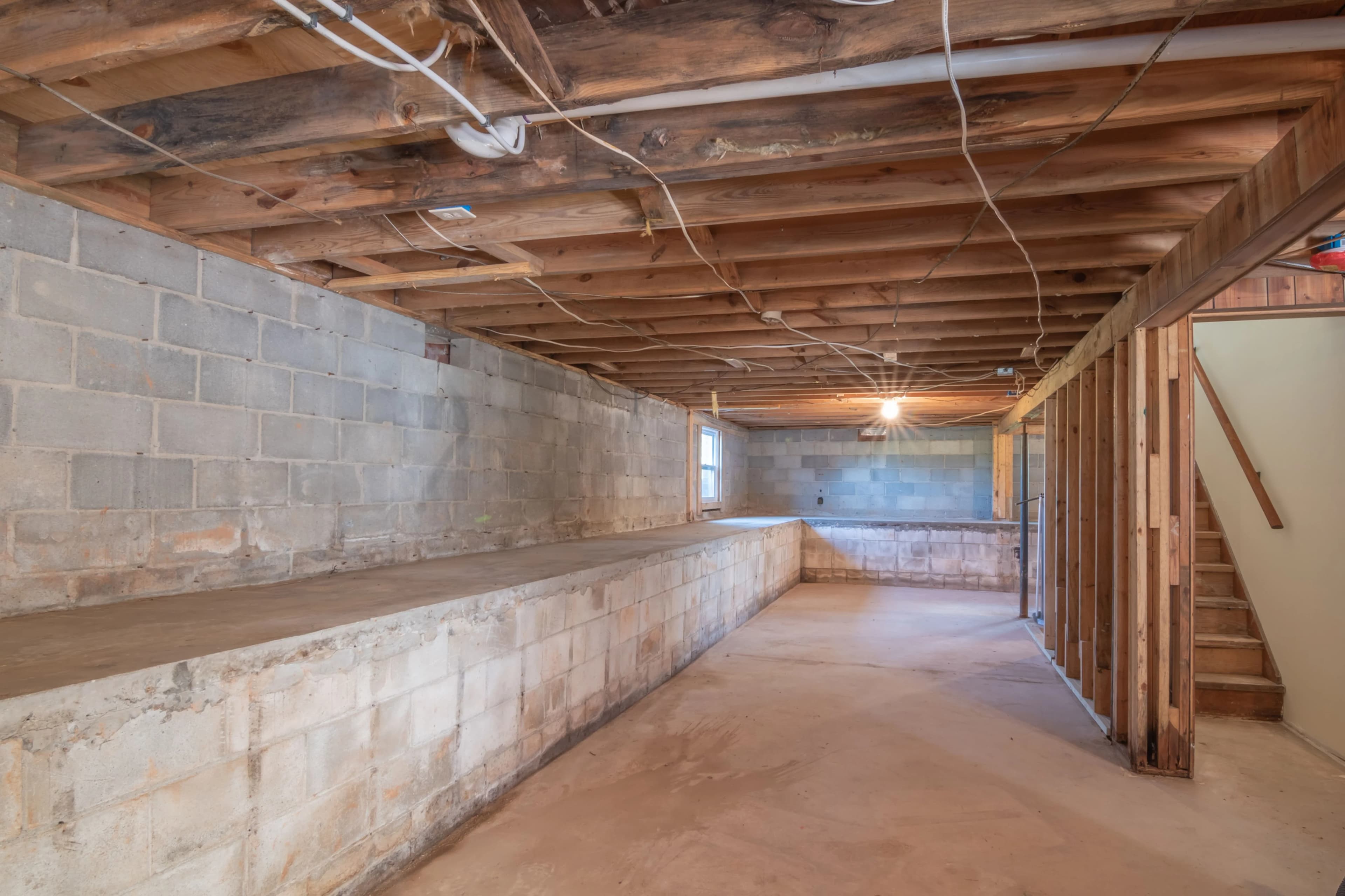Basement Cleanout