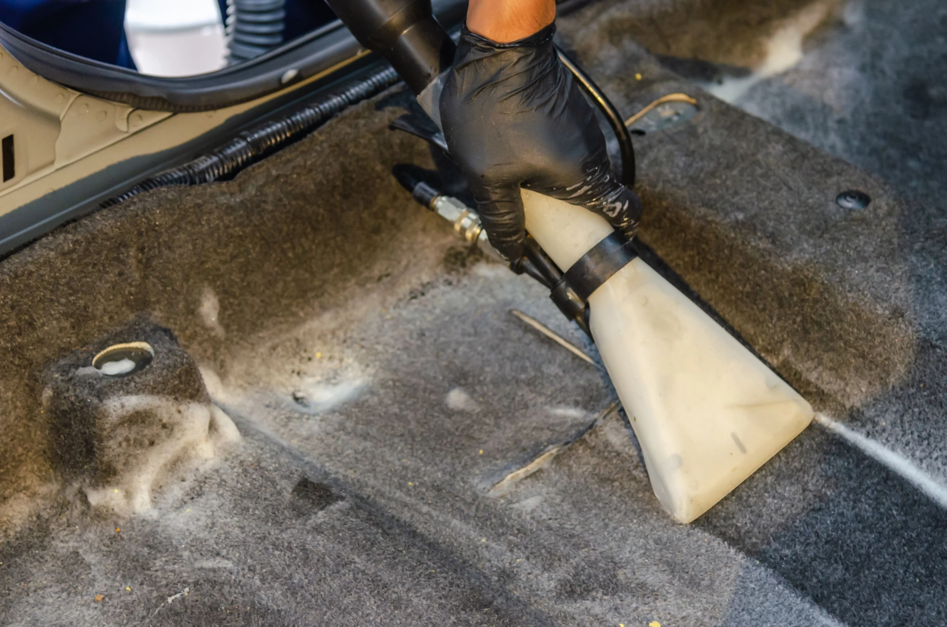 Carpet & Upholstery
