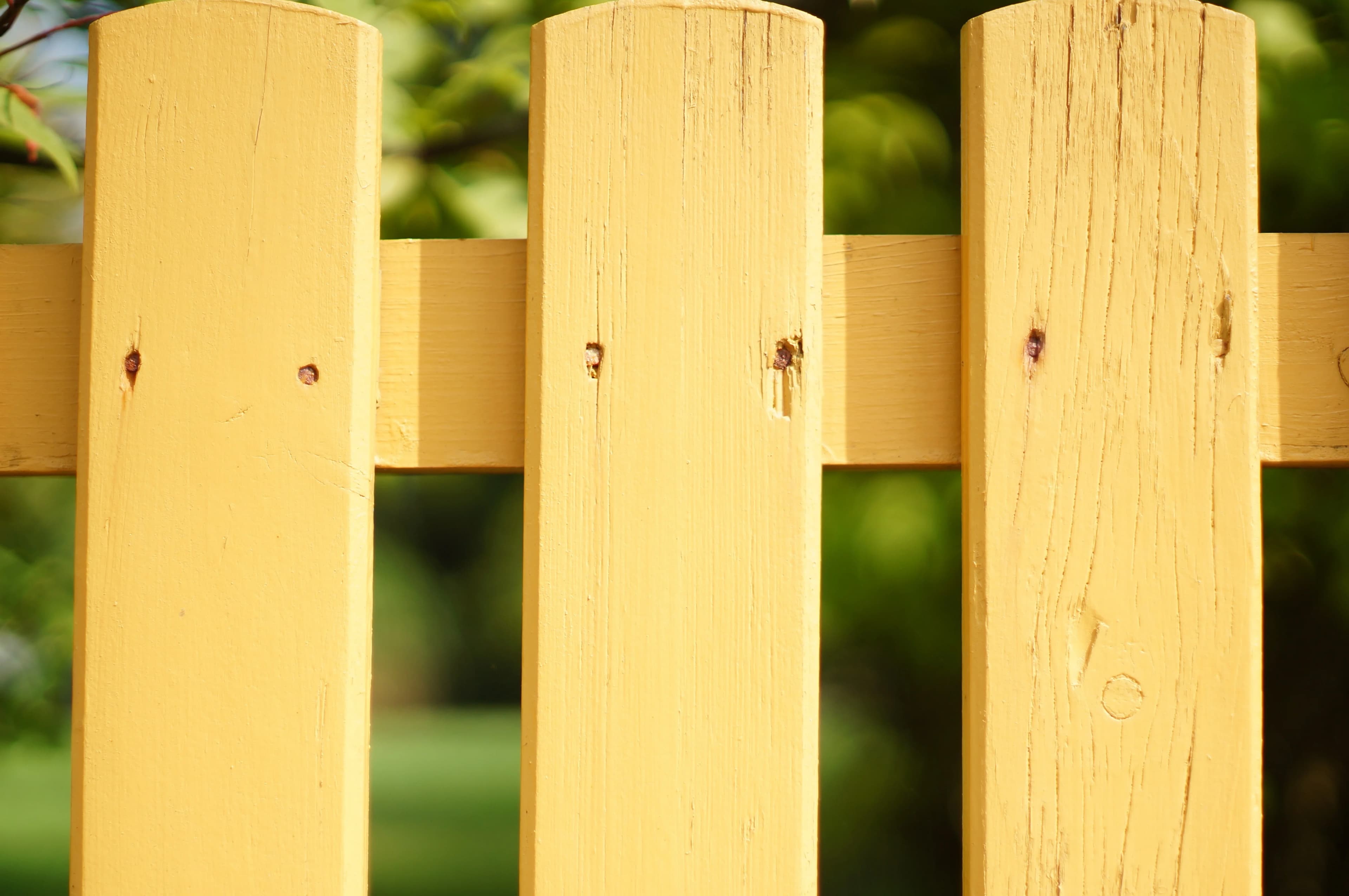 Fence Painting
