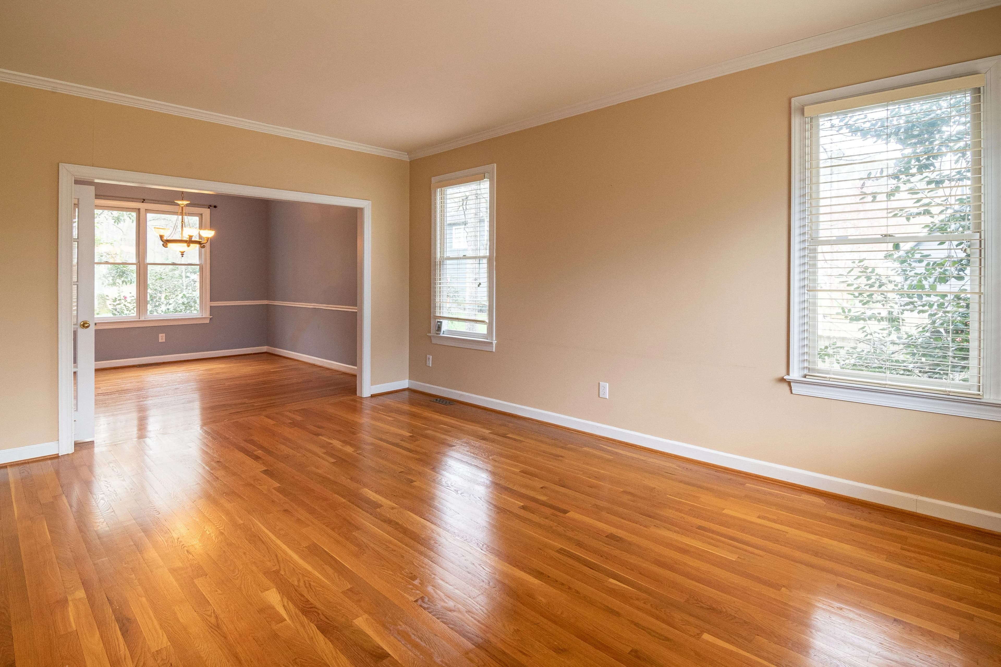 Flooring Cost: Complete Guide by Material Type