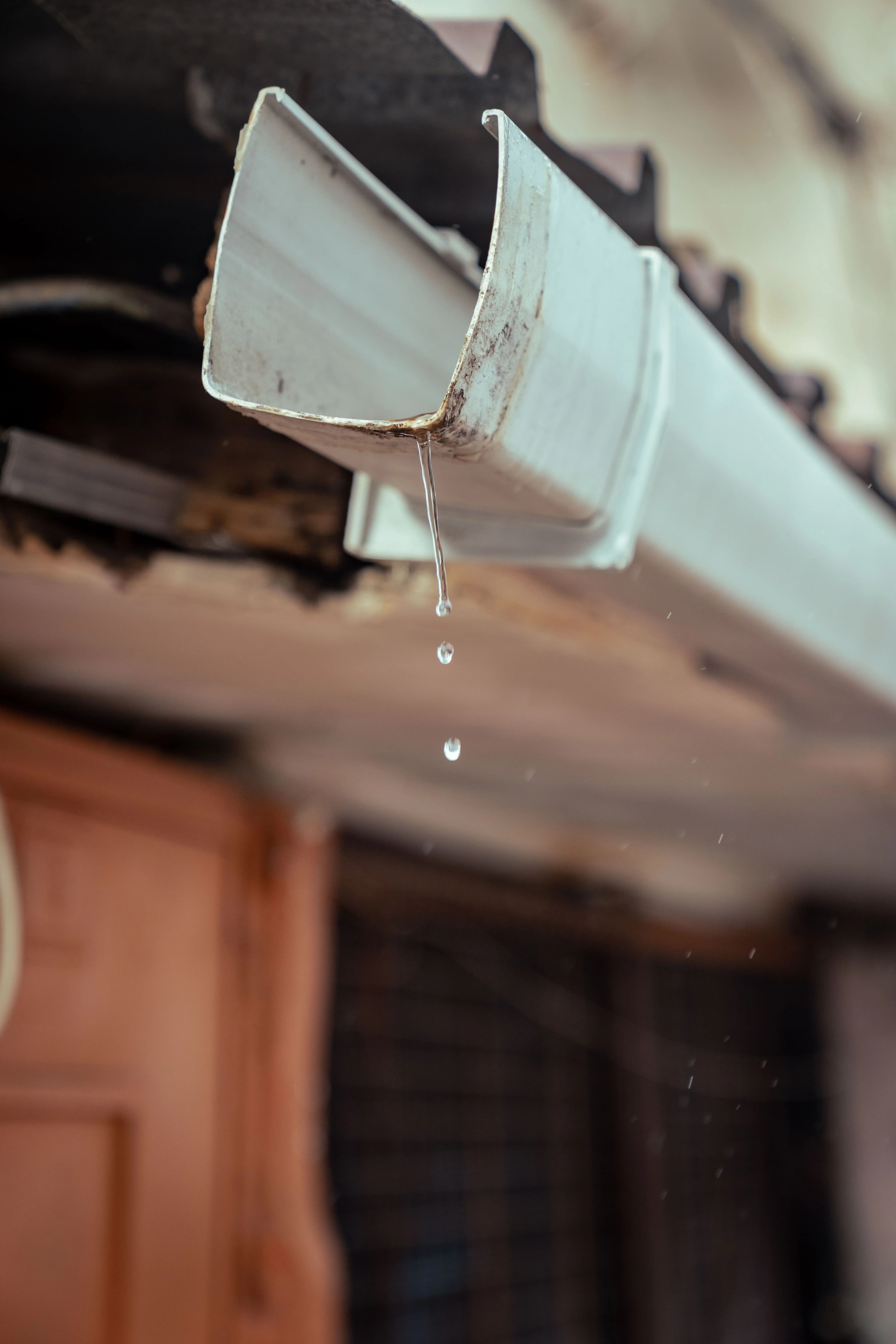 Gutter Services