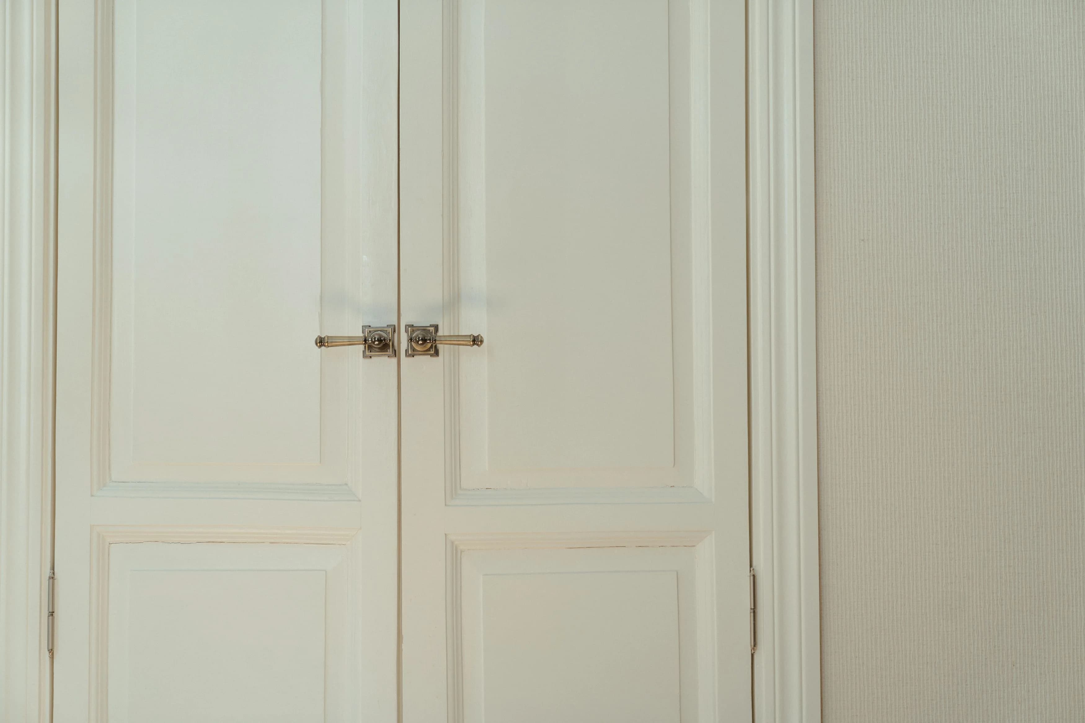 Interior Door Painting