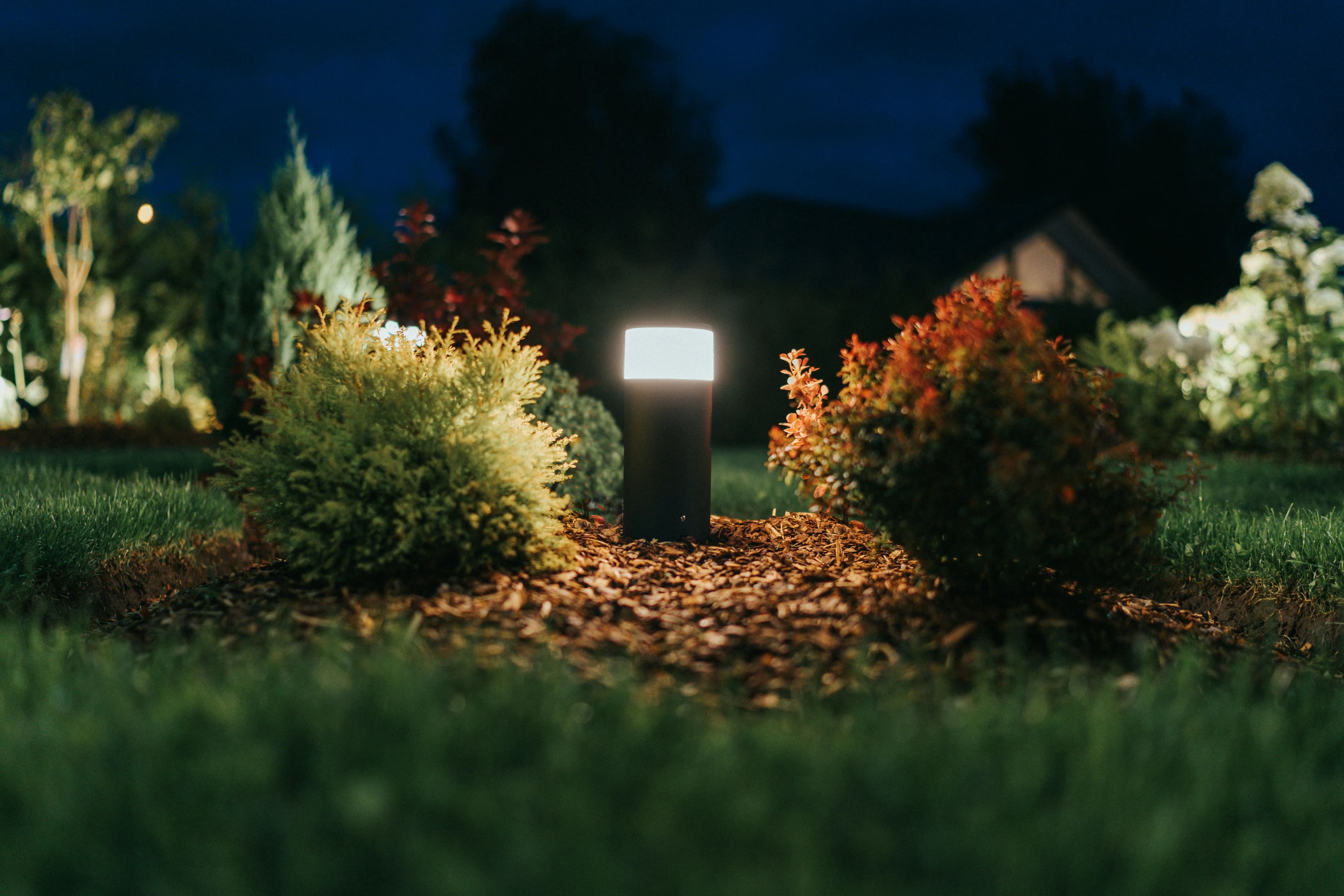 Landscape Lighting Installation
