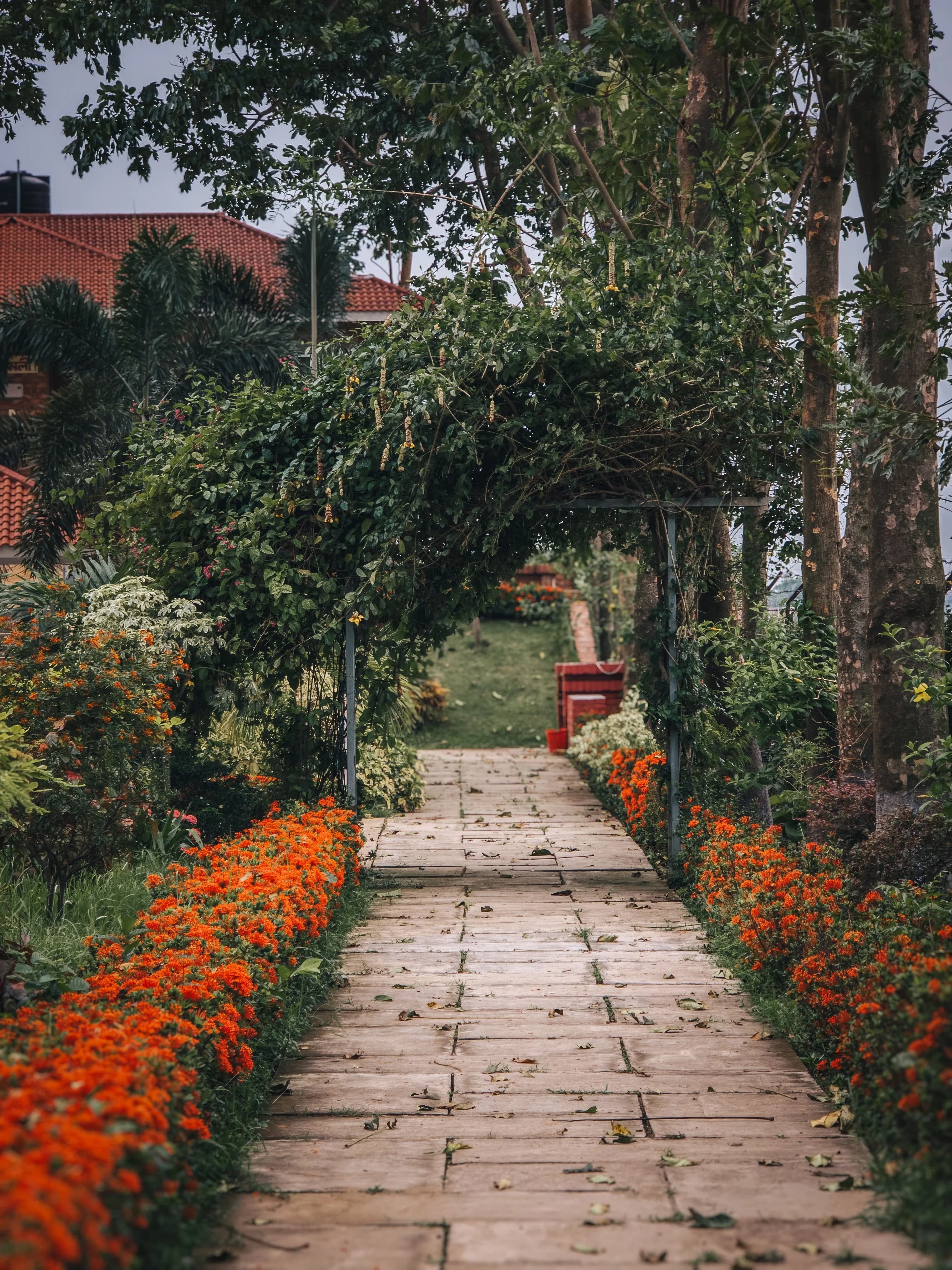 Landscaping & Lawn Cost: Turf, Sod, Irrigation, and Lawn Care Pricing