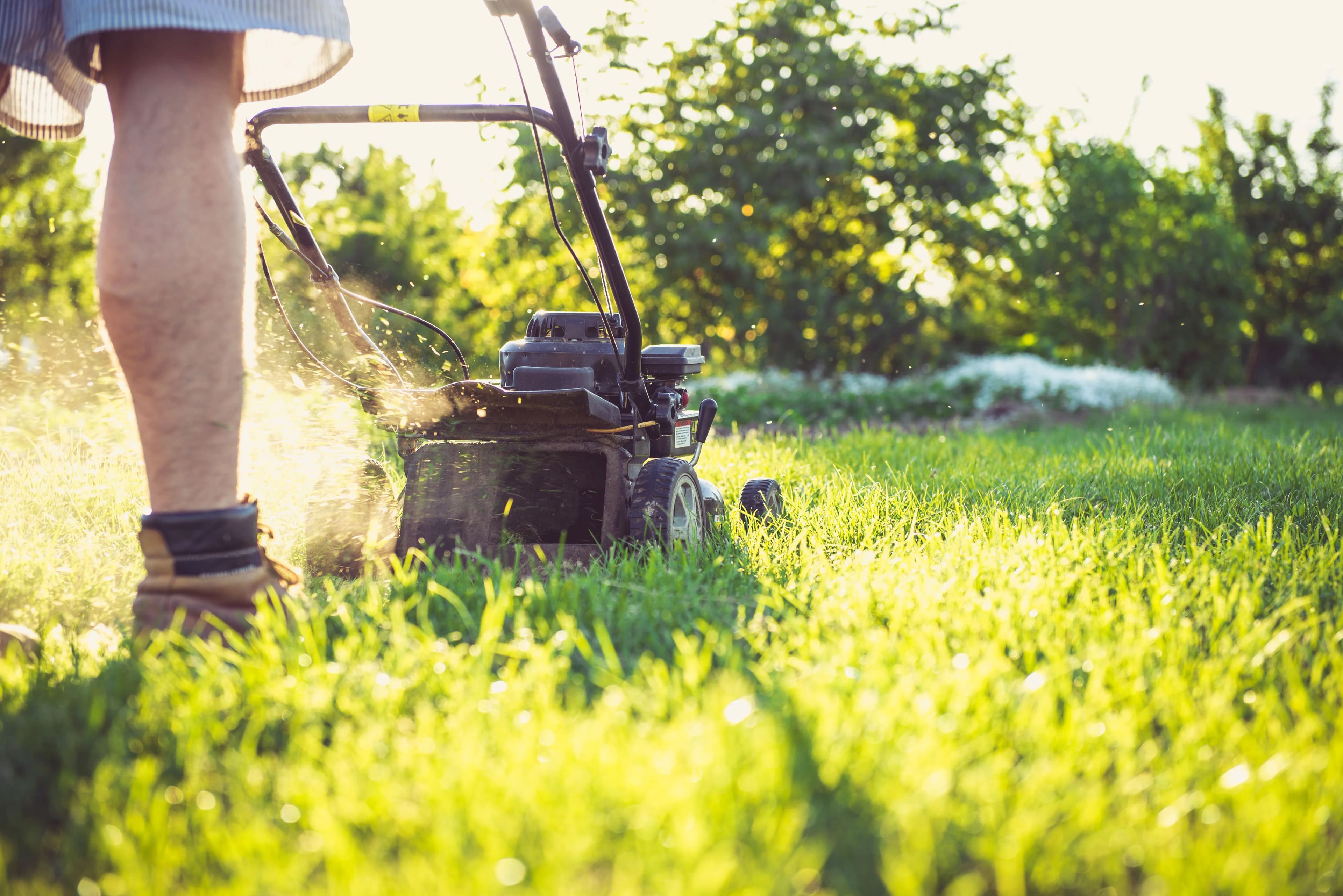 Why Does My Lawn Have Brown Spots? Causes & Fixes