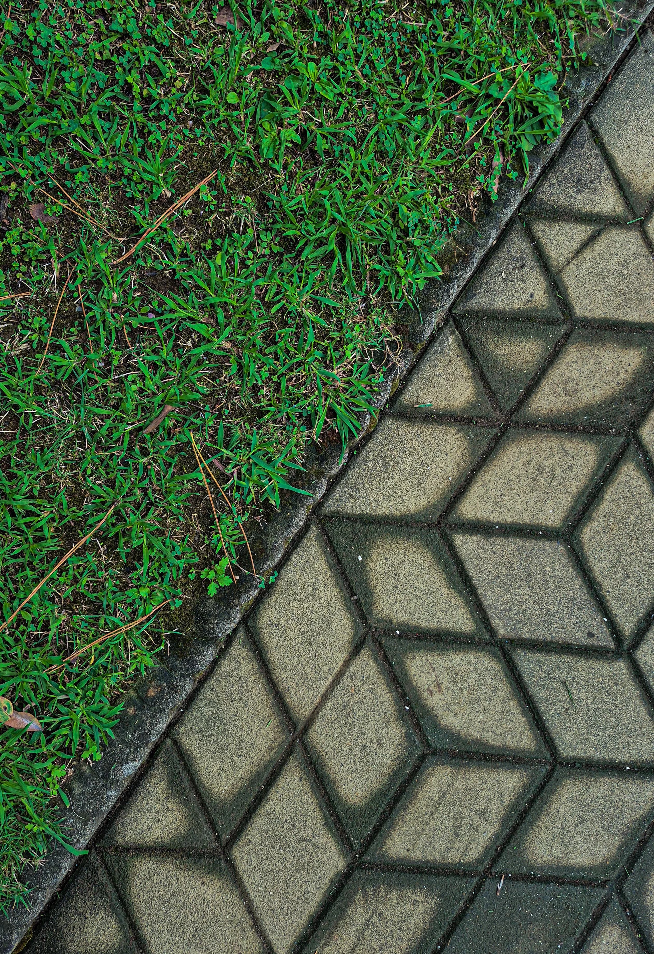 Lawn Edging