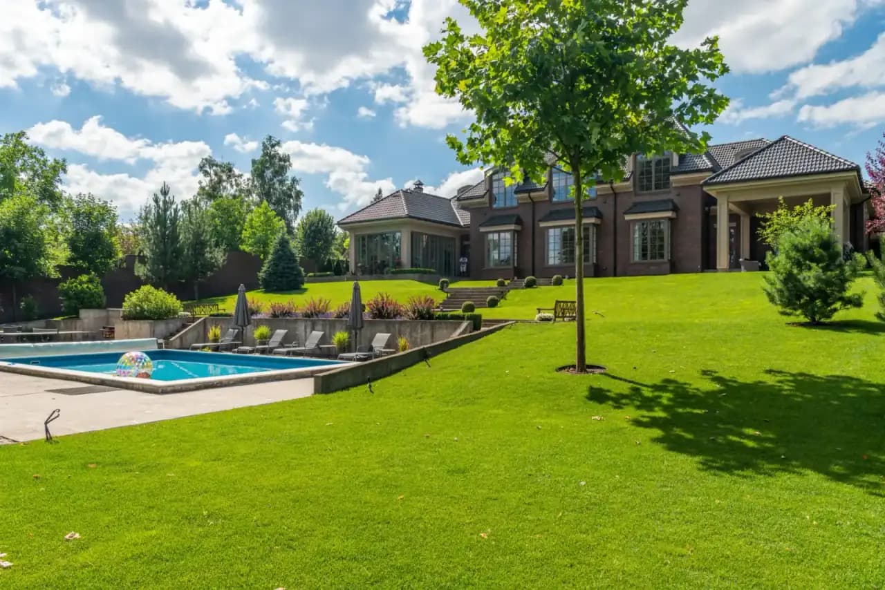 Lawn, Outdoor & Tree