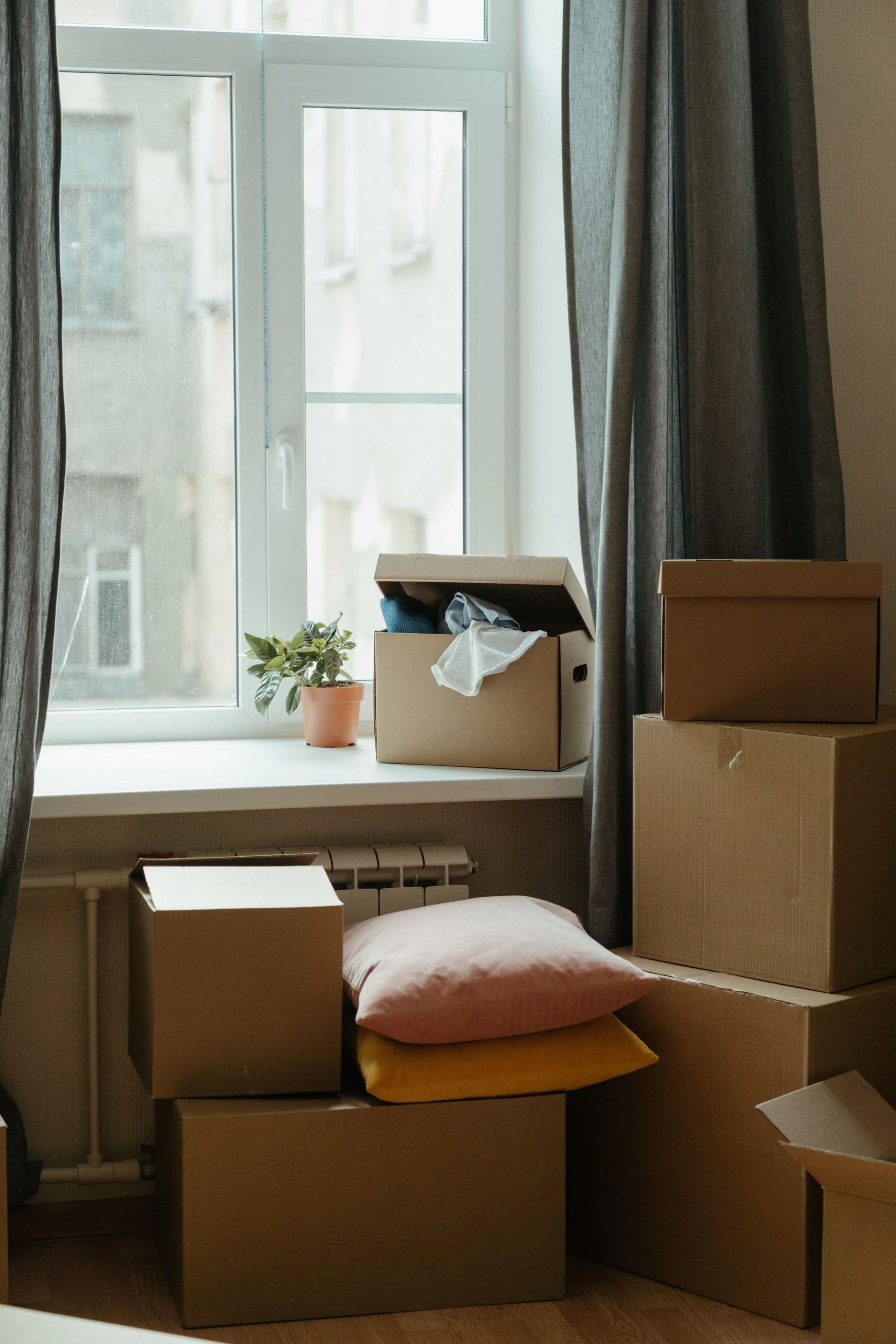 Move-In Cleaning