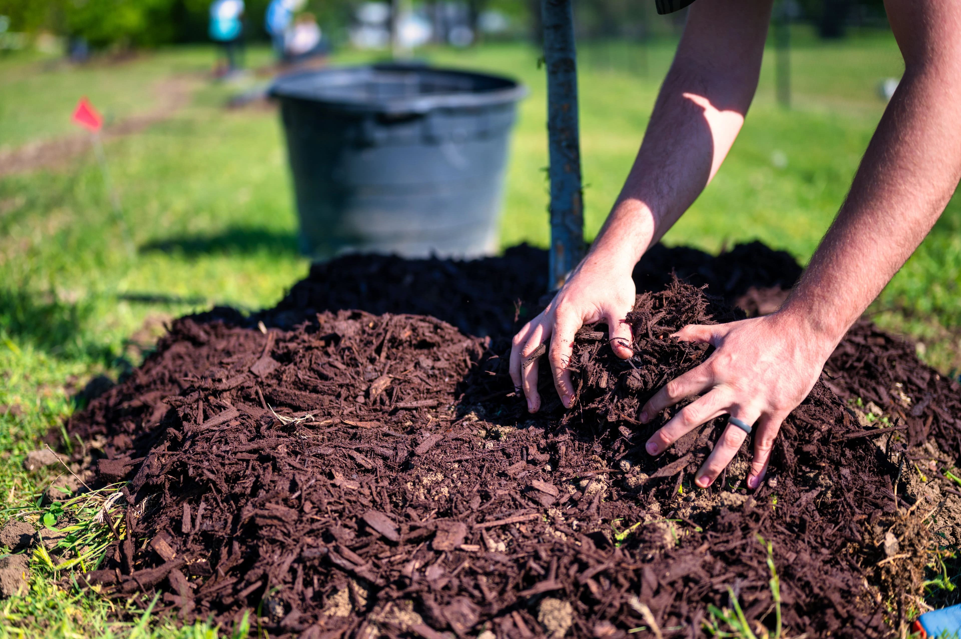 Mulching Service