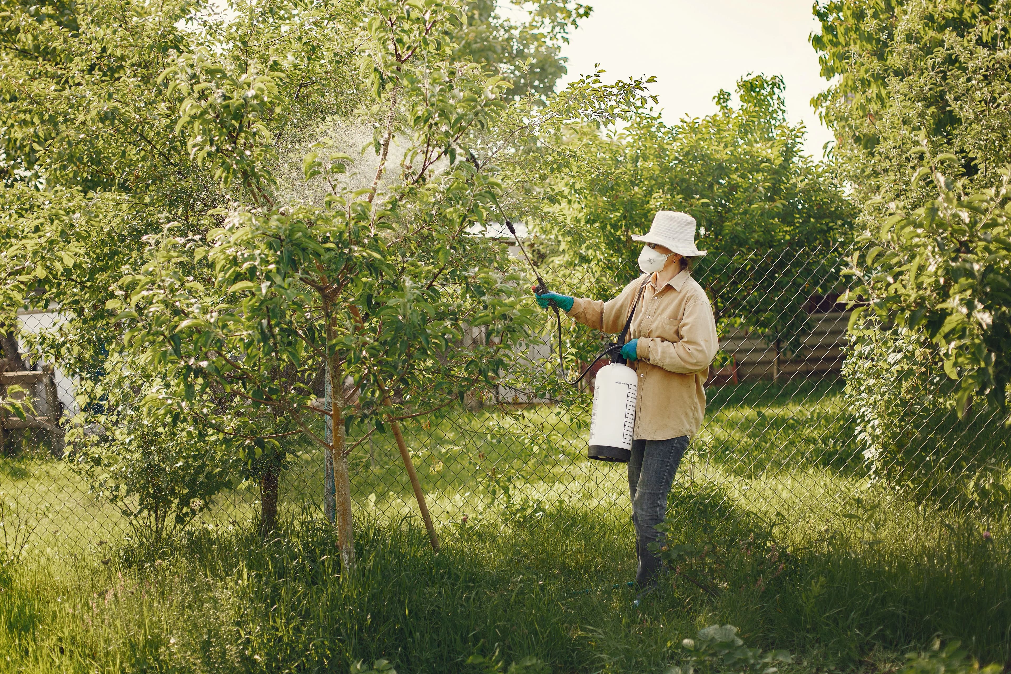 Outdoor Pest Control