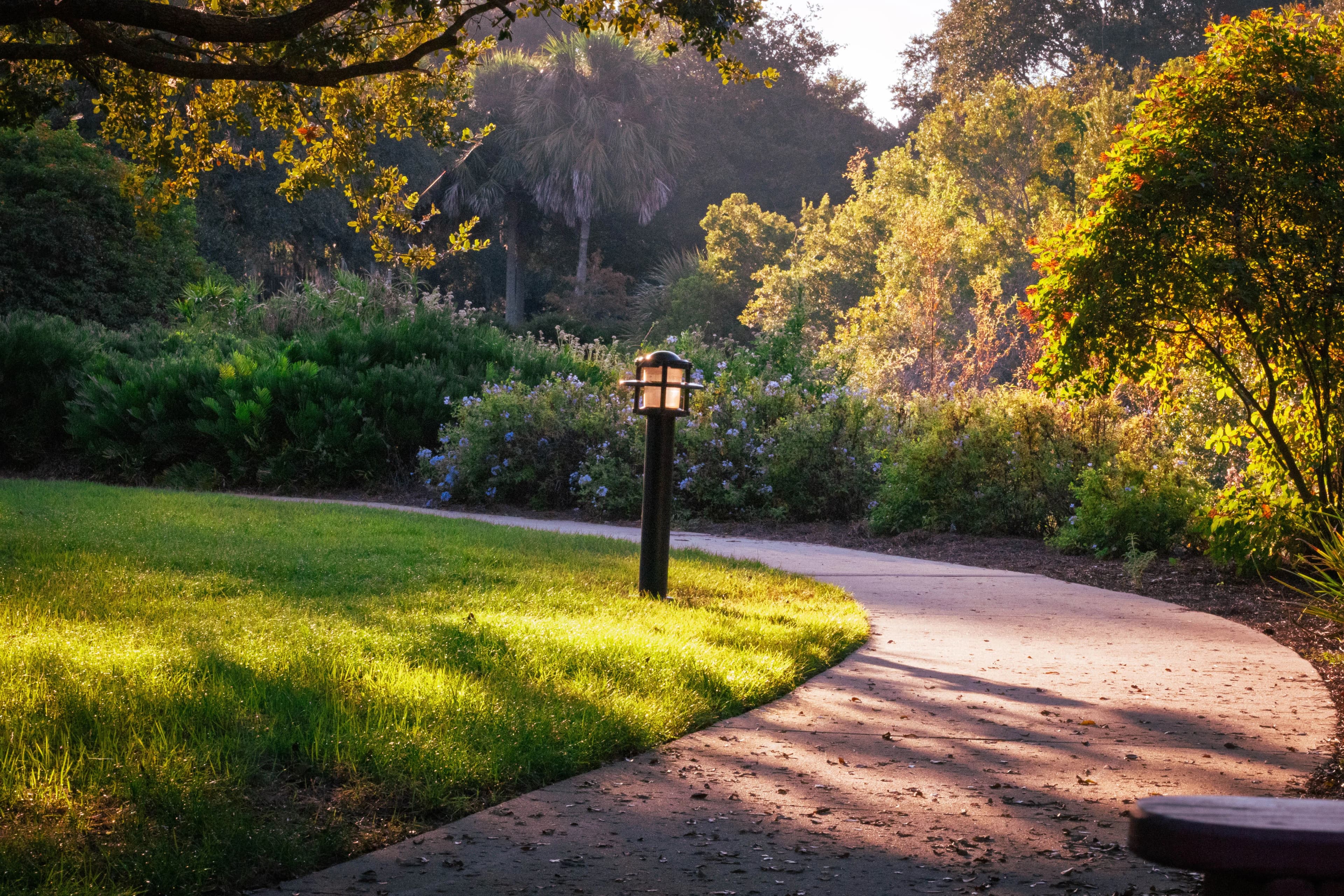 Path Light Installation