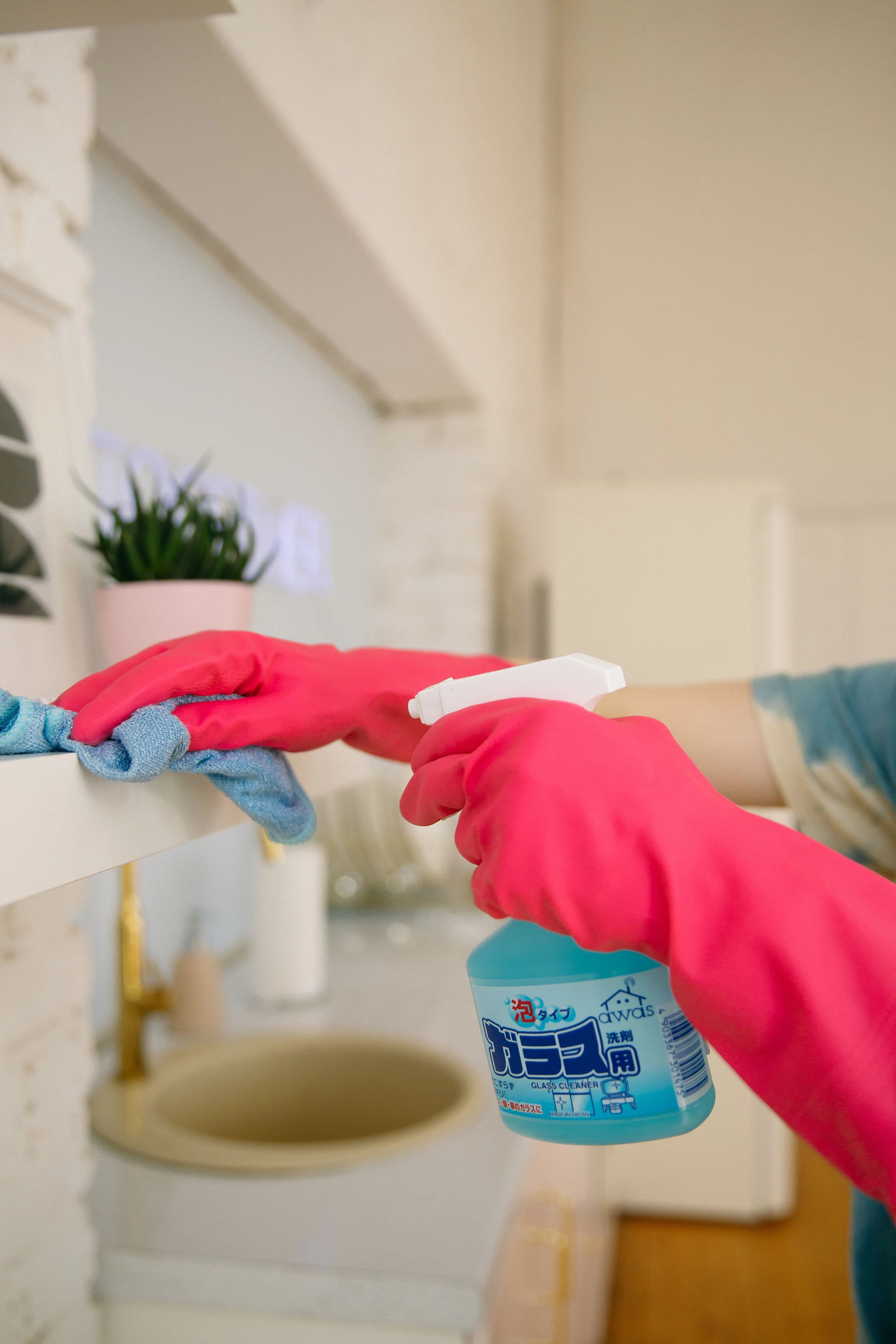 Recurring Cleaning