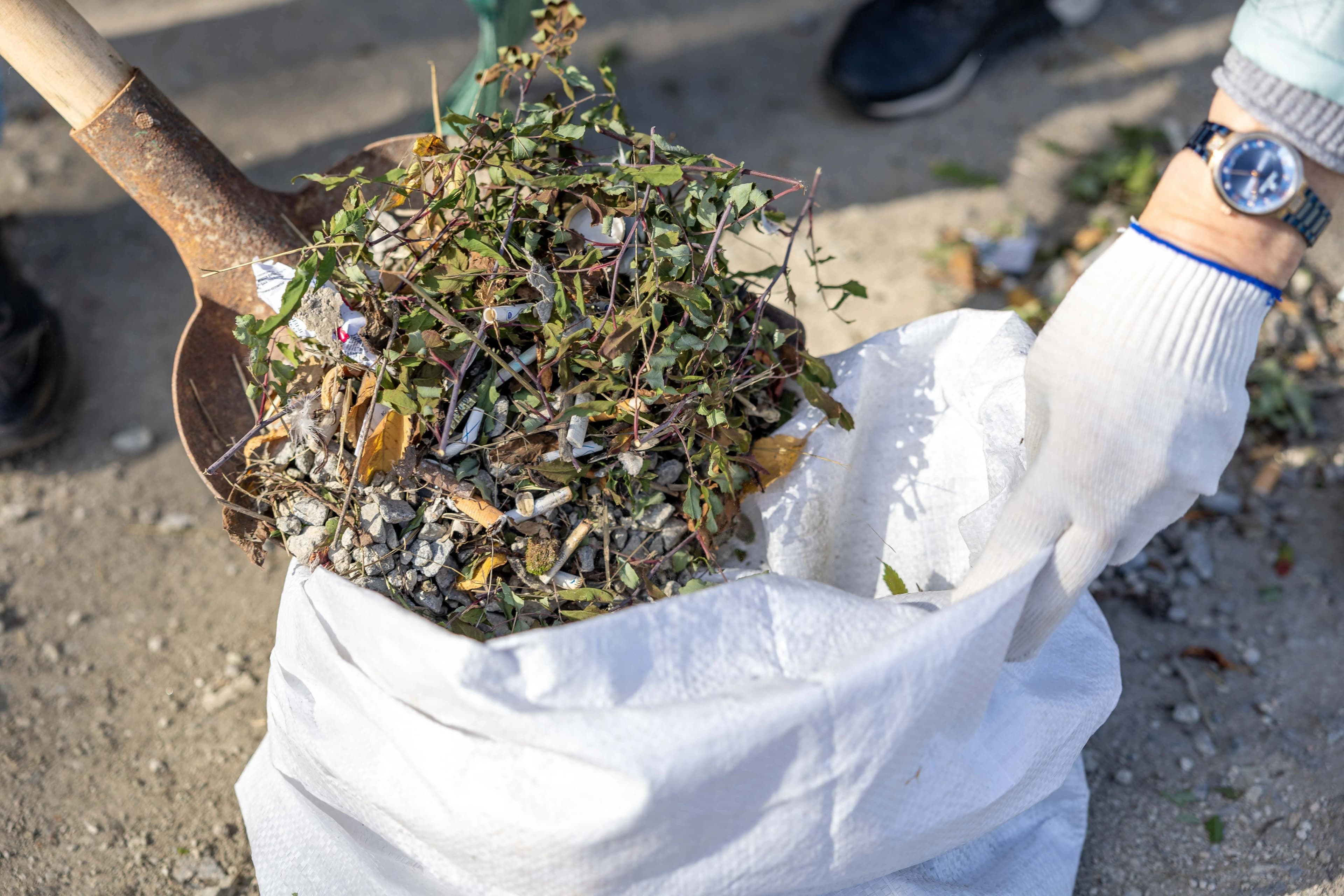 Yard Waste Removal
